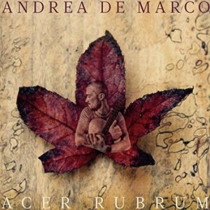 andreademarcocover[579]